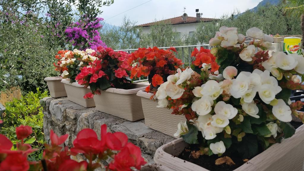 Hotel Augusta Garni Limone sul Garda Exteriör bild