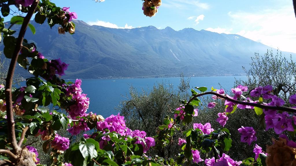 Hotel Augusta Garni Limone sul Garda Exteriör bild