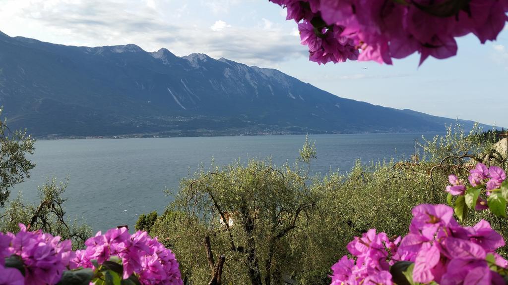 Hotel Augusta Garni Limone sul Garda Rum bild