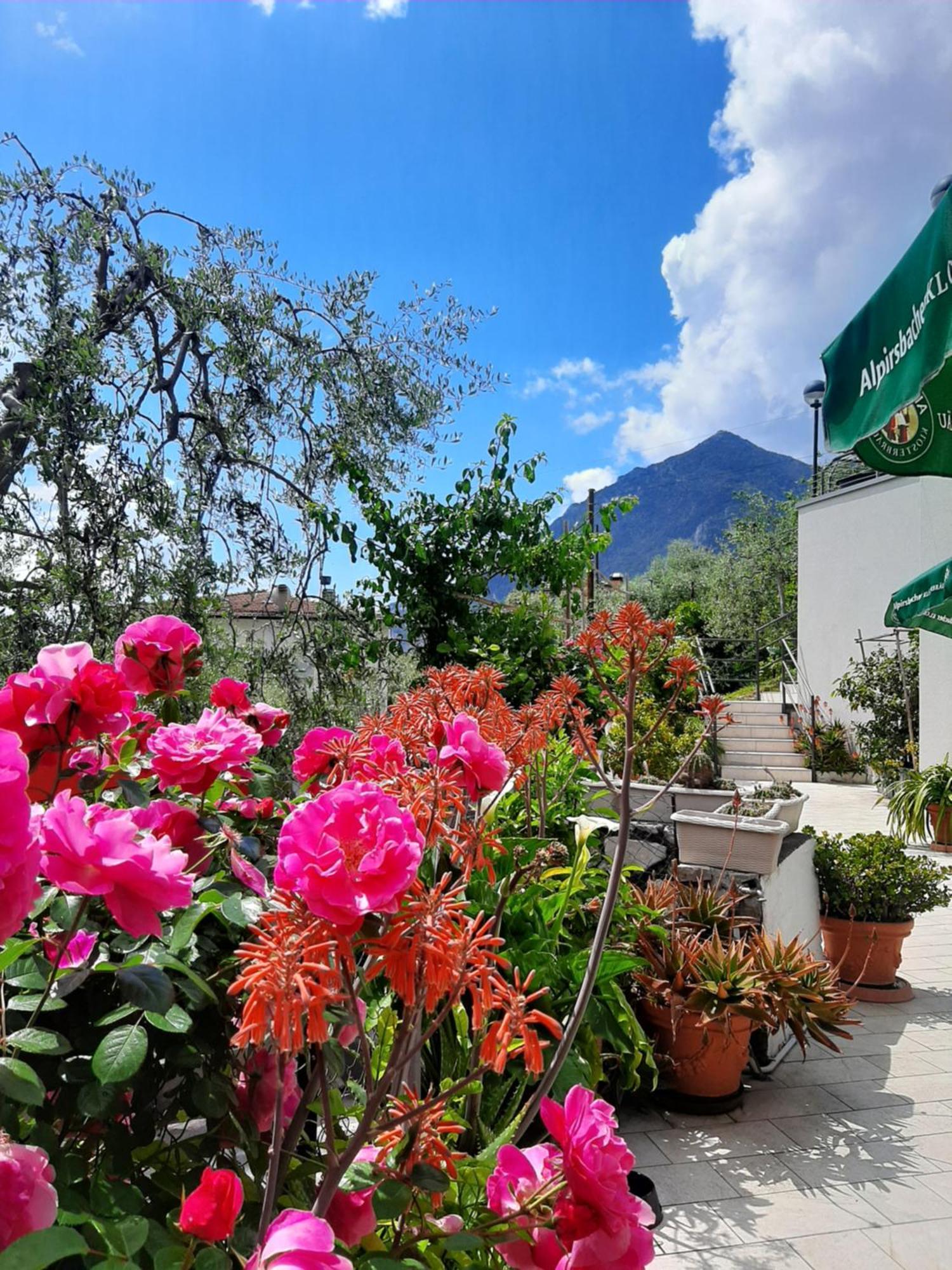 Hotel Augusta Garni Limone sul Garda Exteriör bild