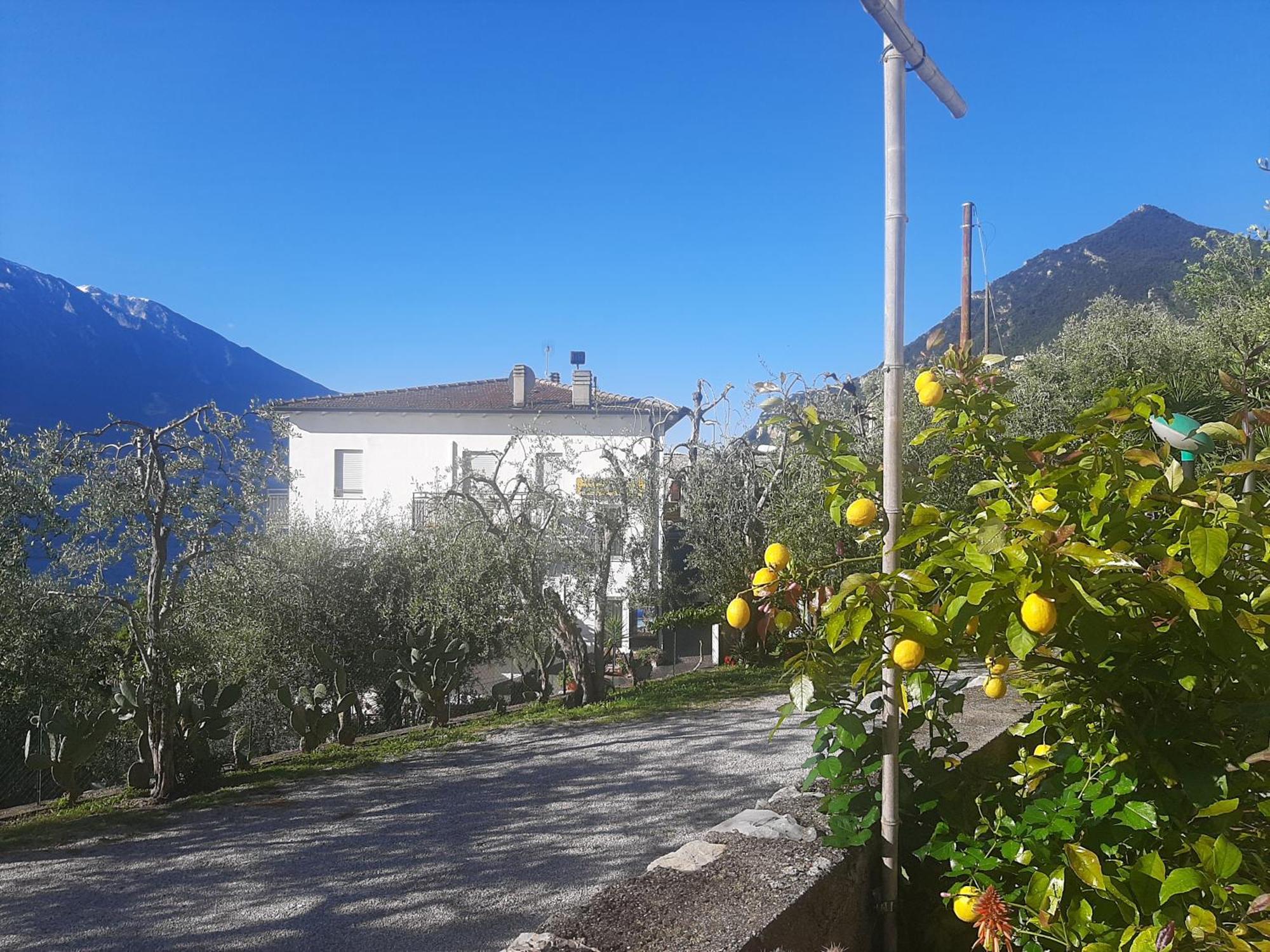 Hotel Augusta Garni Limone sul Garda Exteriör bild